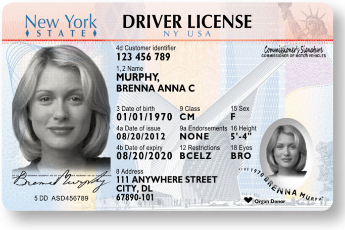 Blank drivers license template